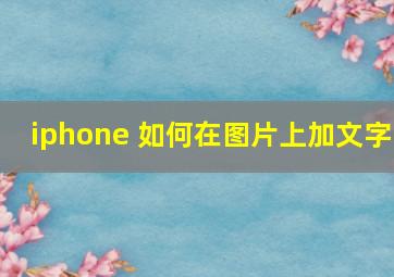 iphone 如何在图片上加文字